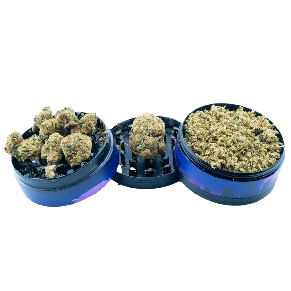Mango Dream THCa Flower