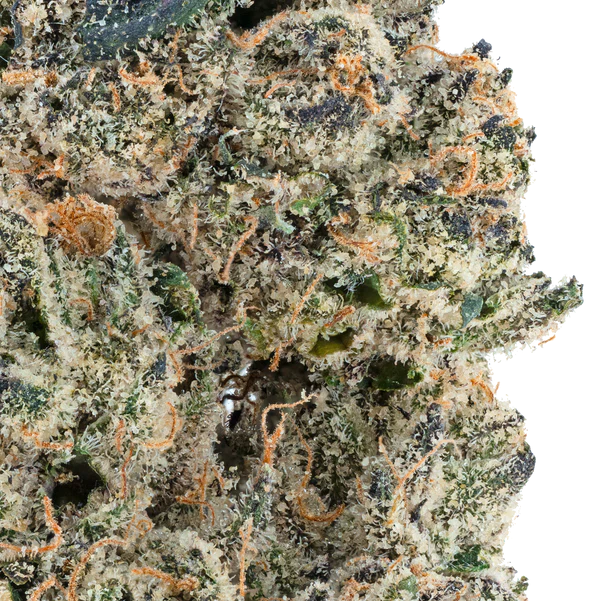 Alien ET THCa Flower