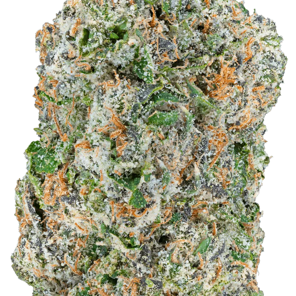 Quattro Kush THCa Flower
