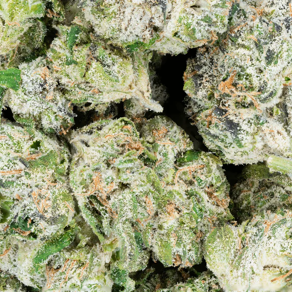Blue Dream THCa Flower