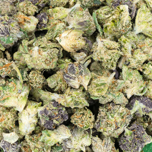 THCa Indoor Micros
