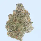 Orange Push Pop- THCa Flower