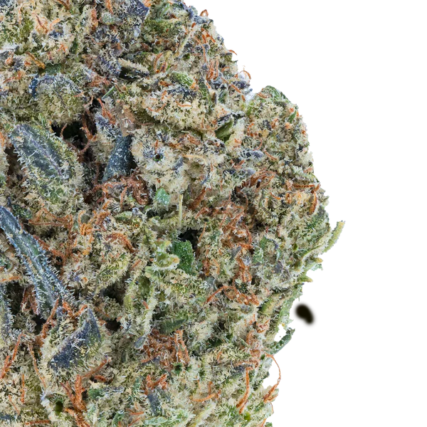 Vorpal Cherry Aurora THCa Flower
