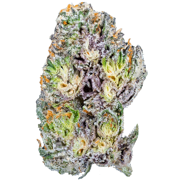 Blue Cherry Gelato THCa Flower