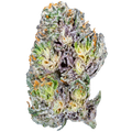 Blue Cherry Gelato THCa Flower