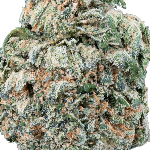 Mango Dream THCa Flower