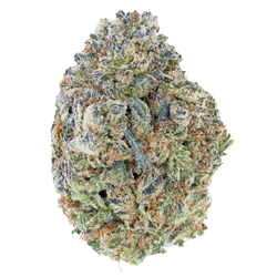 Vorpal Cherry Aurora THCa Flower