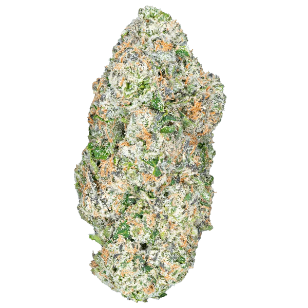 Quattro Kush THCa Flower