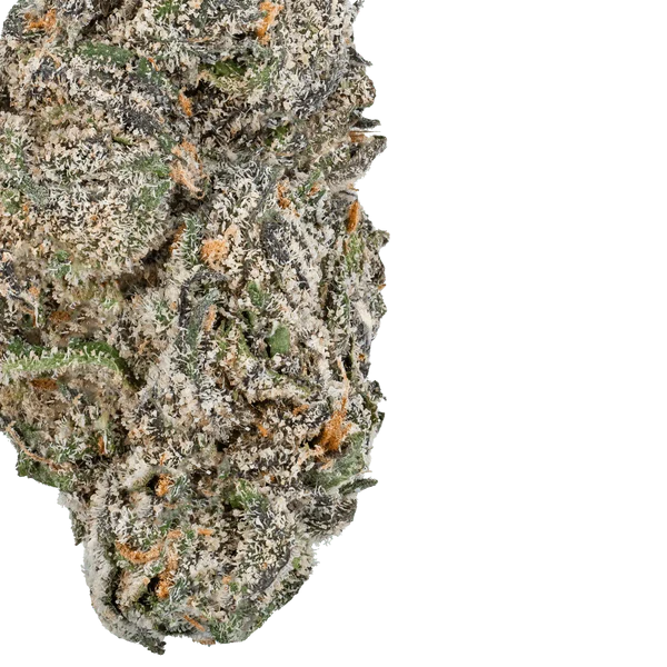 White Truffle THCa Flower