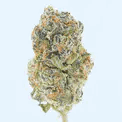 Tres Leches THCa Flower