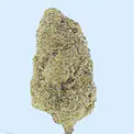 Mango Dream THCa Flower