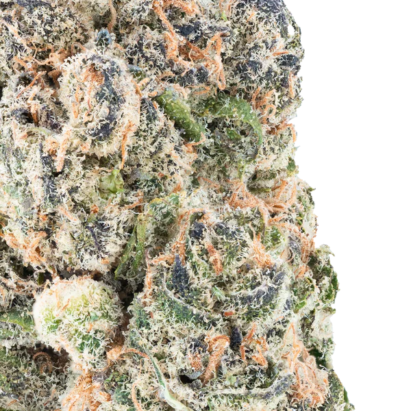 Orange Push Pop- THCa Flower
