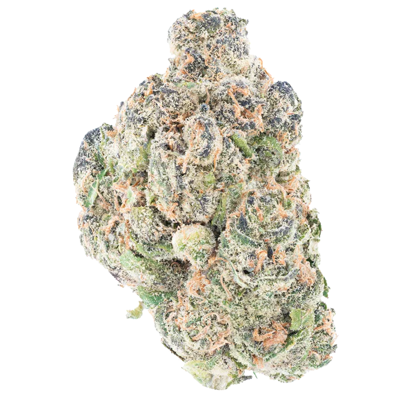 Orange Push Pop- THCa Flower