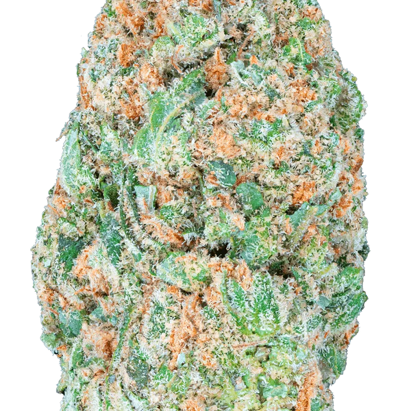 Vorpal Cherry Aurora THCa Flower